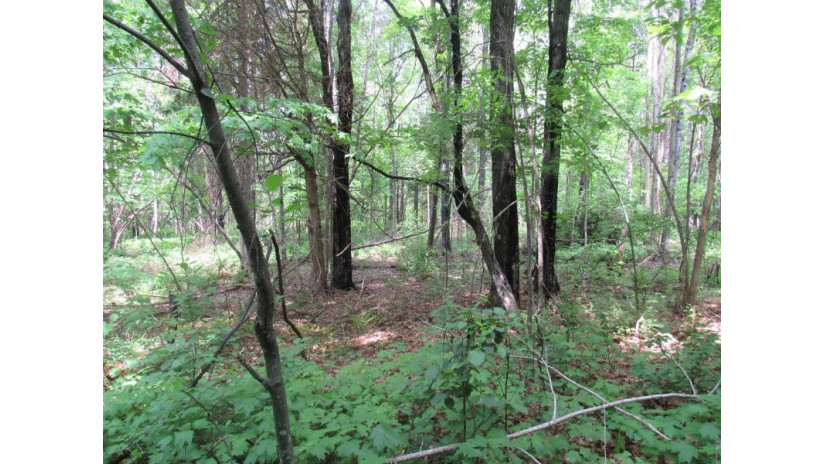 Tbd Plantation Ln Crandon, WI 54520 by Coldwell Banker Real Estate Group $125,000