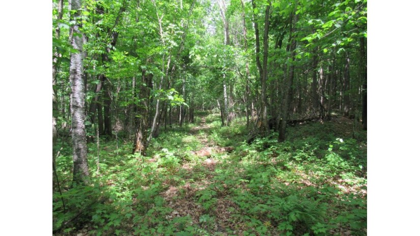 Tbd Plantation Ln Crandon, WI 54520 by Coldwell Banker Real Estate Group $125,000