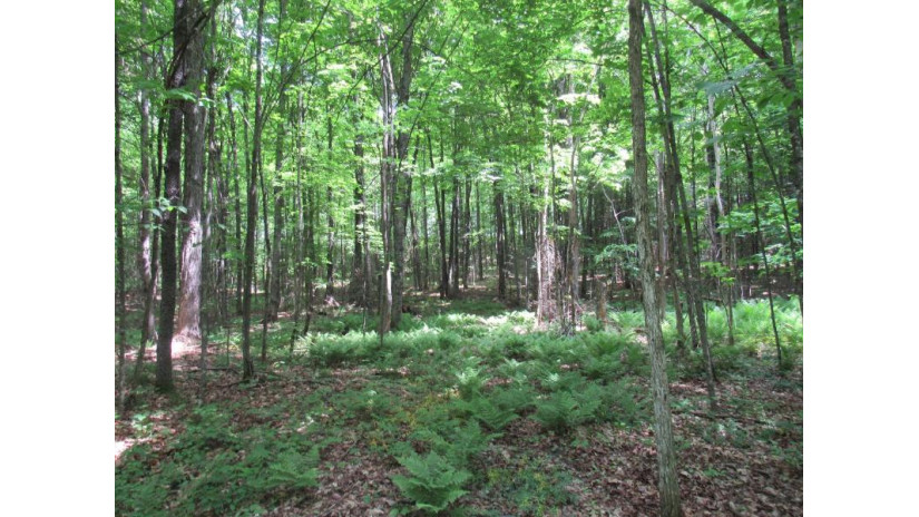 Tbd Plantation Ln Crandon, WI 54520 by Coldwell Banker Real Estate Group $125,000