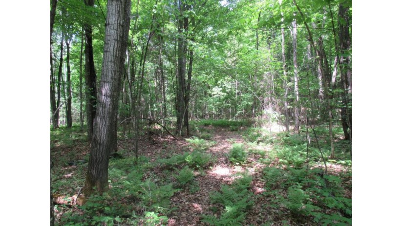 Tbd Plantation Ln Crandon, WI 54520 by Coldwell Banker Real Estate Group $125,000