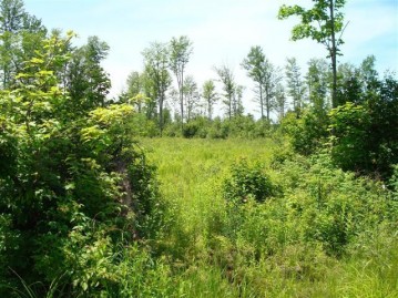 On Peterson Rd 320 Acres, Ackley, WI 54409