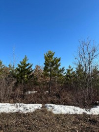 On Spring Creek Dr 4080-1, King, WI 54487