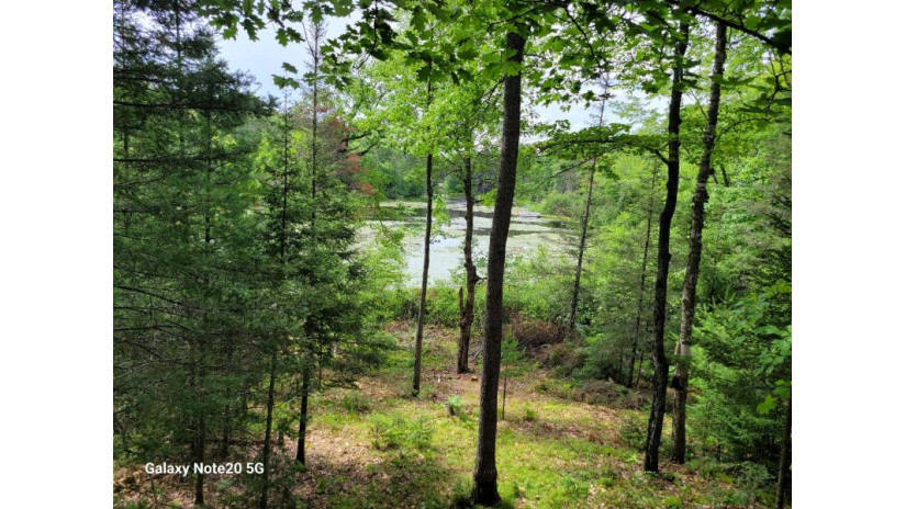 6504 Landing Lake Rd Land O Lakes, WI 54540 by Shorewest Realtors $498,500