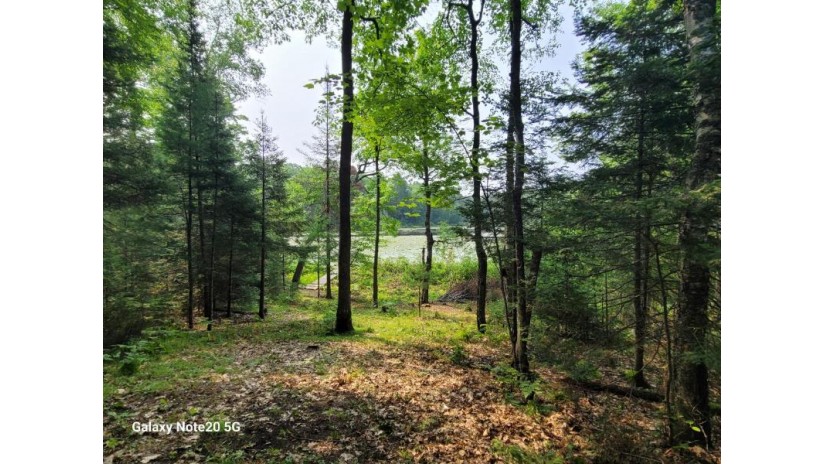 6504 Landing Lake Rd Land O Lakes, WI 54540 by Shorewest Realtors $498,500