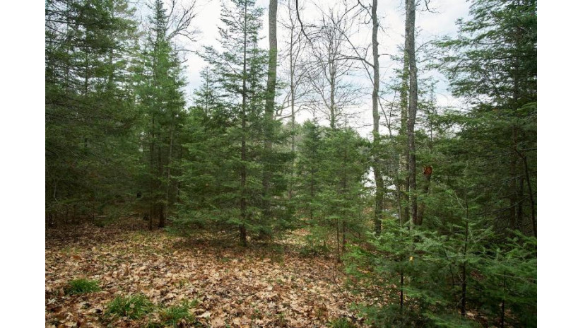 6504 Landing Lake Rd Land O Lakes, WI 54540 by Shorewest Realtors $498,500