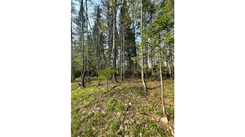 1.26 Ac Cth Ff Mercer, WI 54547 by Century 21 Pierce Realty - Mercer $25,000