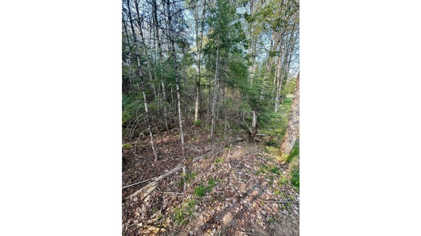 1.26 Ac Cth Ff Mercer, WI 54547 by Century 21 Pierce Realty - Mercer $25,000