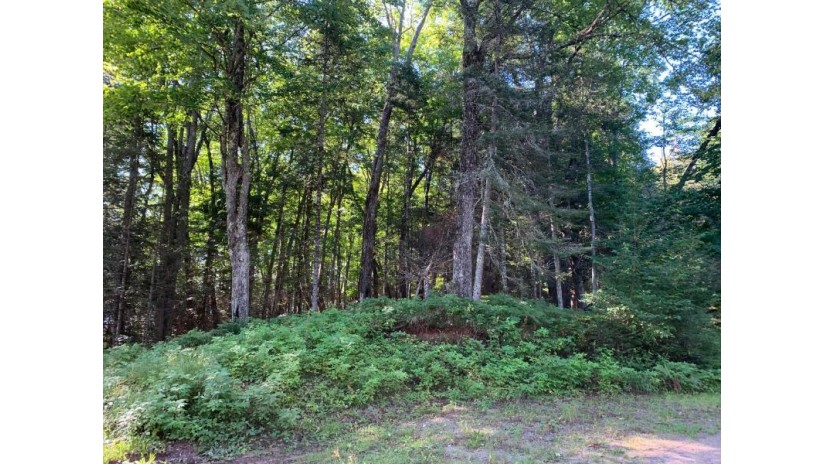 Off Knuth Ln Lot 4 Land O Lakes, WI 54540 by Shorewest Realtors $165,000