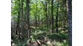 Off Knuth Ln Lot 4 Land O Lakes, WI 54540 by Shorewest Realtors $165,000