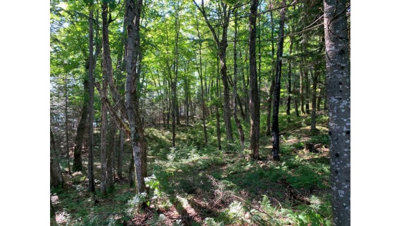 Off Knuth Ln Lot 4 Land O Lakes, WI 54540 by Shorewest Realtors $165,000
