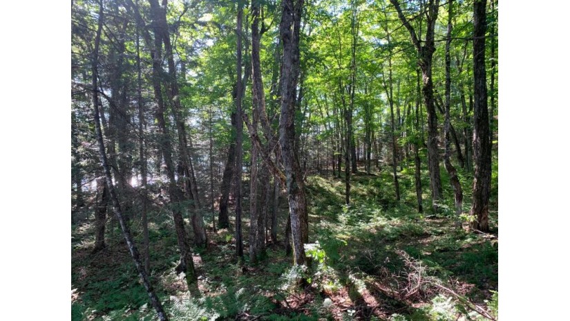 Off Knuth Ln Lot 4 Land O Lakes, WI 54540 by Shorewest Realtors $165,000