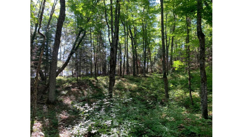 Off Knuth Ln Lot 4 Land O Lakes, WI 54540 by Shorewest Realtors $165,000