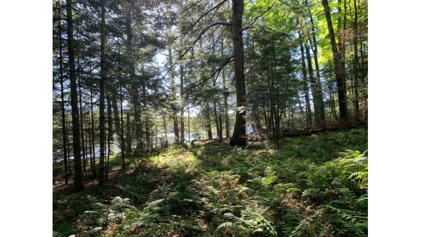 Off Knuth Ln Lot 4 Land O Lakes, WI 54540 by Shorewest Realtors $165,000