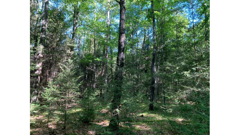 Off Knuth Ln Lot 4 Land O Lakes, WI 54540 by Shorewest Realtors $165,000