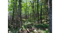 Off Knuth Ln Lot 5 & 6 Land O Lakes, WI 54540 by Shorewest Realtors $325,000