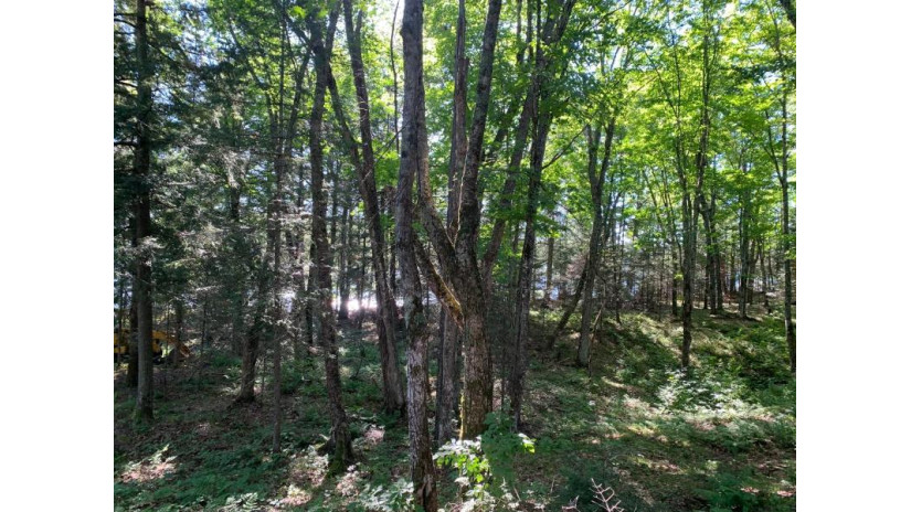 Off Knuth Ln Lot 5 & 6 Land O Lakes, WI 54540 by Shorewest Realtors $325,000