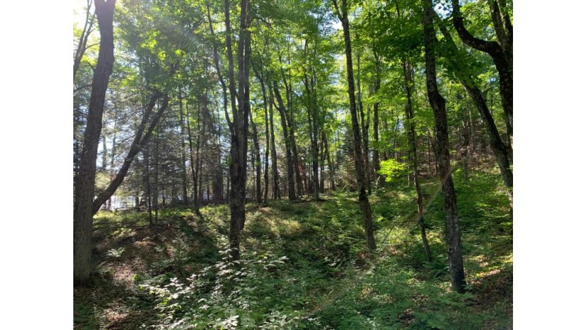 Off Knuth Ln Lot 5 & 6 Land O Lakes, WI 54540 by Shorewest Realtors $325,000