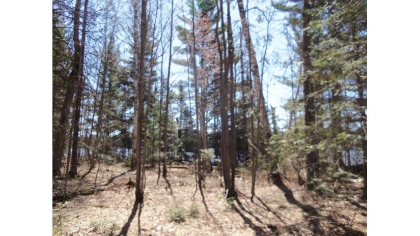 Off Deer Rd Mercer, WI 54547 by Re/Max Action Northwoods Realty, Llc $465,000