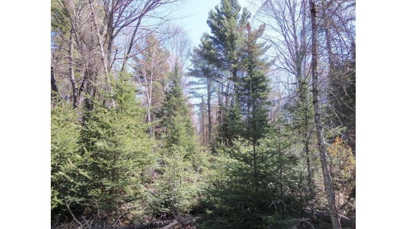 Off Deer Rd Mercer, WI 54547 by Re/Max Action Northwoods Realty, Llc $465,000