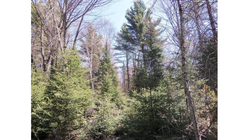 Off Deer Rd Mercer, WI 54547 by Re/Max Action Northwoods Realty, Llc $465,000