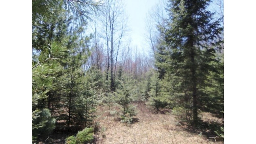 Off Deer Rd Mercer, WI 54547 by Re/Max Action Northwoods Realty, Llc $465,000