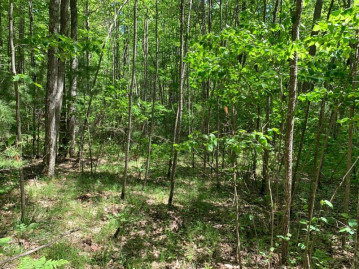 Lot 44 Norway Pine Tr, Wilson, WI 54487