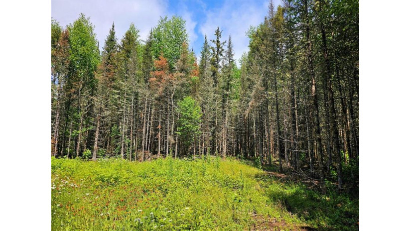 Lot B Homers Rd Mercer, WI 54547 by Re/Max Action Northwoods Realty, Llc $55,000