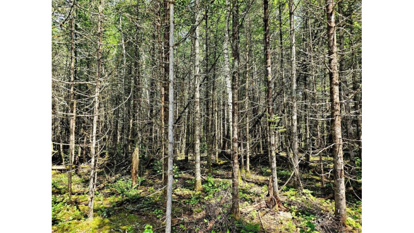 Lot B Homers Rd Mercer, WI 54547 by Re/Max Action Northwoods Realty, Llc $55,000