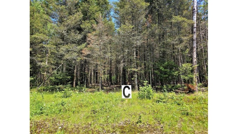 Lot C Homers Rd Mercer, WI 54547 by Re/Max Action Northwoods Realty, Llc $49,000