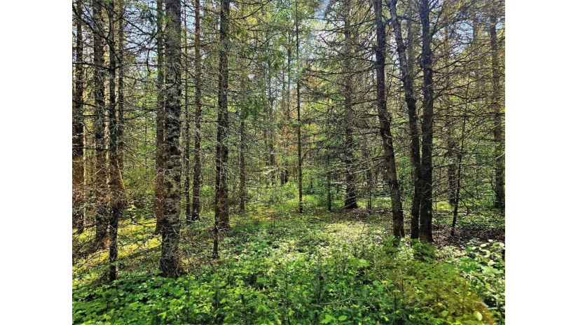 Lot C Homers Rd Mercer, WI 54547 by Re/Max Action Northwoods Realty, Llc $49,000