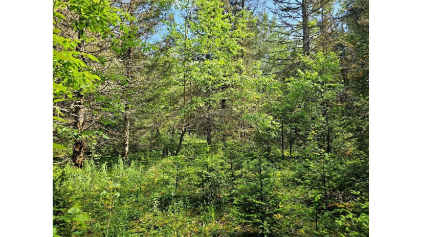 Lot C Homers Rd Mercer, WI 54547 by Re/Max Action Northwoods Realty, Llc $49,000