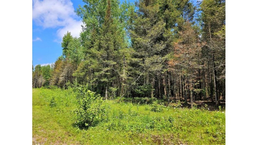 Lot C Homers Rd Mercer, WI 54547 by Re/Max Action Northwoods Realty, Llc $49,000
