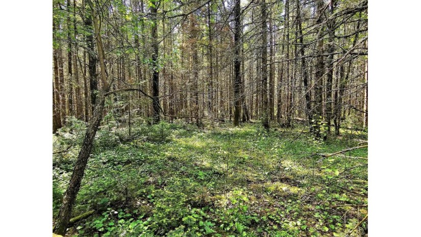 Lot C Homers Rd Mercer, WI 54547 by Re/Max Action Northwoods Realty, Llc $49,000