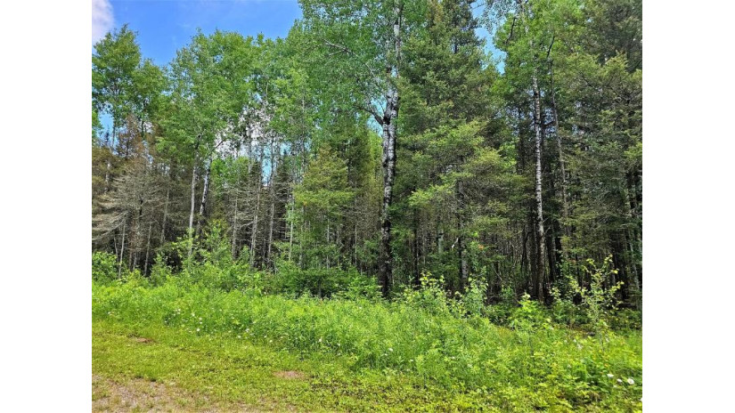 Lot C Homers Rd Mercer, WI 54547 by Re/Max Action Northwoods Realty, Llc $49,000