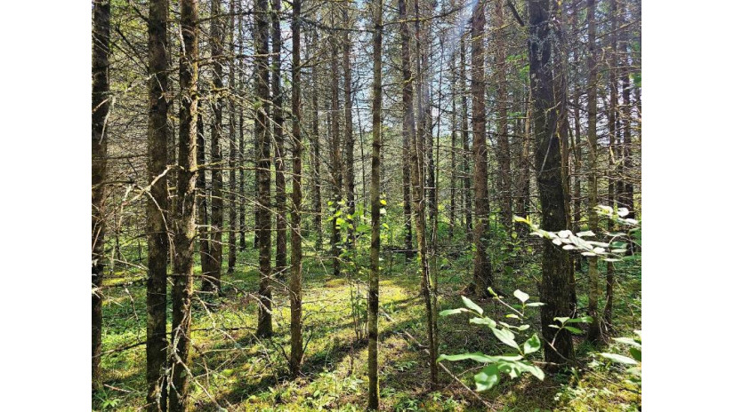 Lot D Homers Rd Mercer, WI 54547 by Re/Max Action Northwoods Realty, Llc $45,000