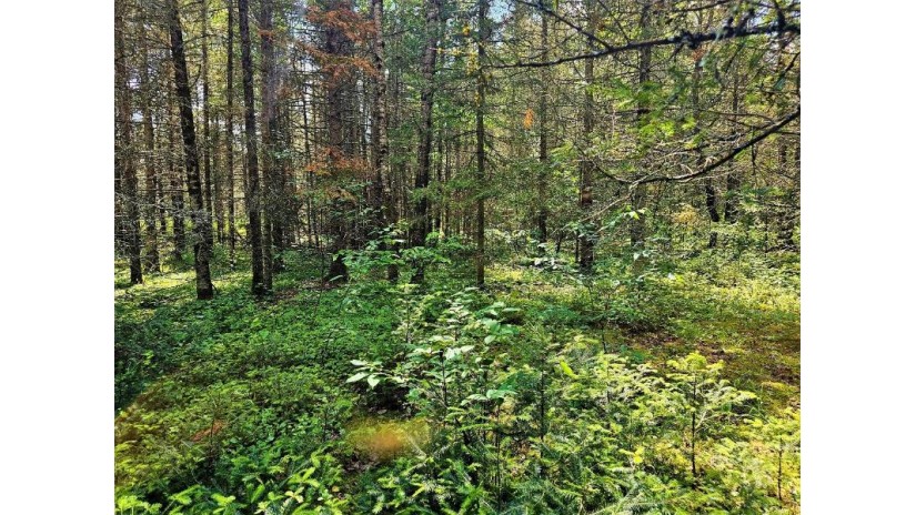 Lot D Homers Rd Mercer, WI 54547 by Re/Max Action Northwoods Realty, Llc $45,000