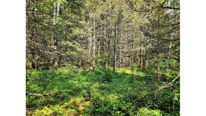 Lot D Homers Rd Mercer, WI 54547 by Re/Max Action Northwoods Realty, Llc $45,000