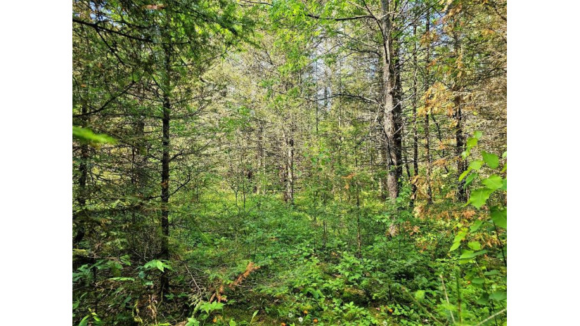 Lot D Homers Rd Mercer, WI 54547 by Re/Max Action Northwoods Realty, Llc $45,000