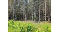 Lot D Homers Rd Mercer, WI 54547 by Re/Max Action Northwoods Realty, Llc $45,000