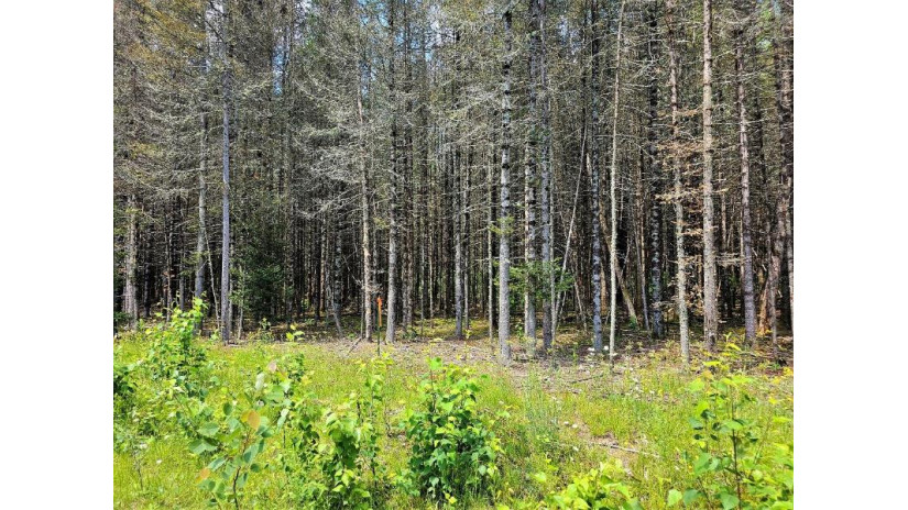 Lot D Homers Rd Mercer, WI 54547 by Re/Max Action Northwoods Realty, Llc $45,000