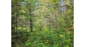 Lot D Homers Rd Mercer, WI 54547 by Re/Max Action Northwoods Realty, Llc $45,000