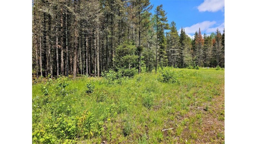 Lot D Homers Rd Mercer, WI 54547 by Re/Max Action Northwoods Realty, Llc $45,000