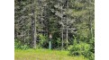 Lot E Homers Rd Mercer, WI 54547 by Re/Max Action Northwoods Realty, Llc $42,900