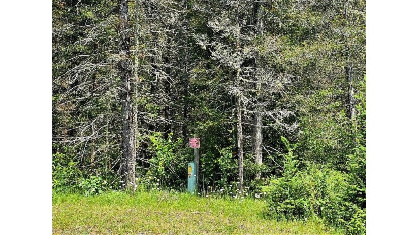 Lot E Homers Rd Mercer, WI 54547 by Re/Max Action Northwoods Realty, Llc $42,900