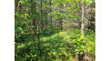 Lot E Homers Rd Mercer, WI 54547 by Re/Max Action Northwoods Realty, Llc $42,900