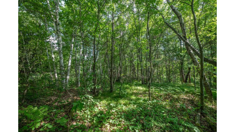 On Katies Ln Lot 13 Lac Du Flambeau, WI 54538 by Re/Max Property Pros $28,900