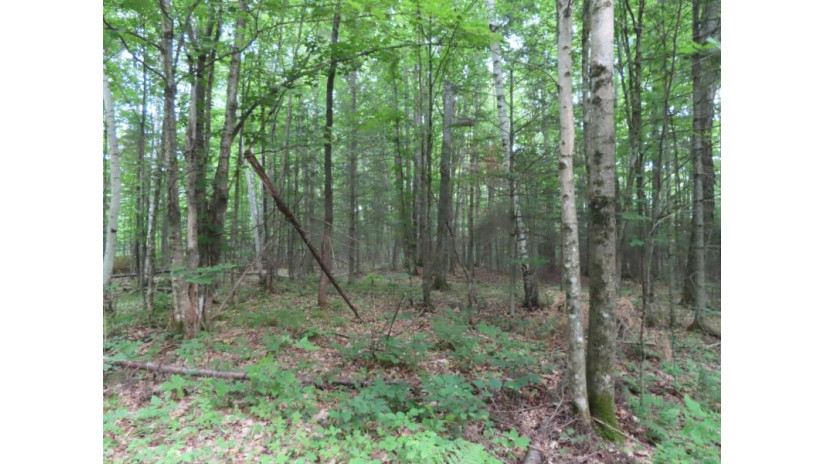 Off Blackwell Jct Rd Lot 12 Laona, WI 54541 by Century 21 Northwoods Team $18,500