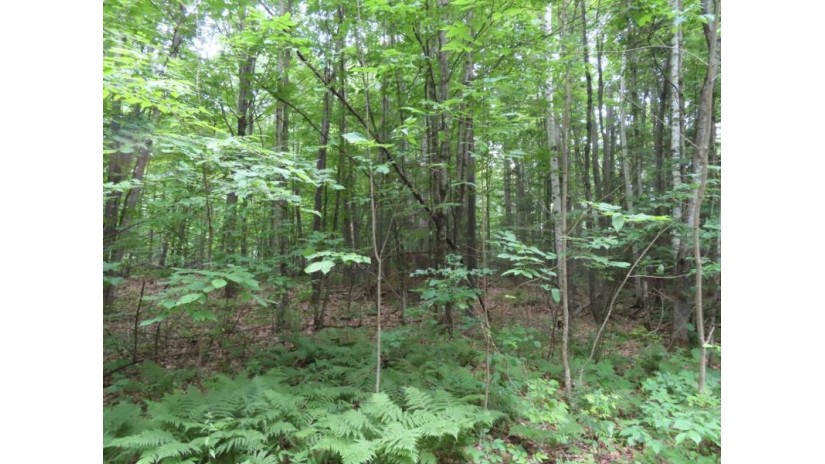Off Blackwell Jct Rd Lot 12 Laona, WI 54541 by Century 21 Northwoods Team $18,500