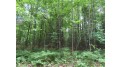 Off Blackwell Jct Rd Lot 12 Laona, WI 54541 by Century 21 Northwoods Team $18,500