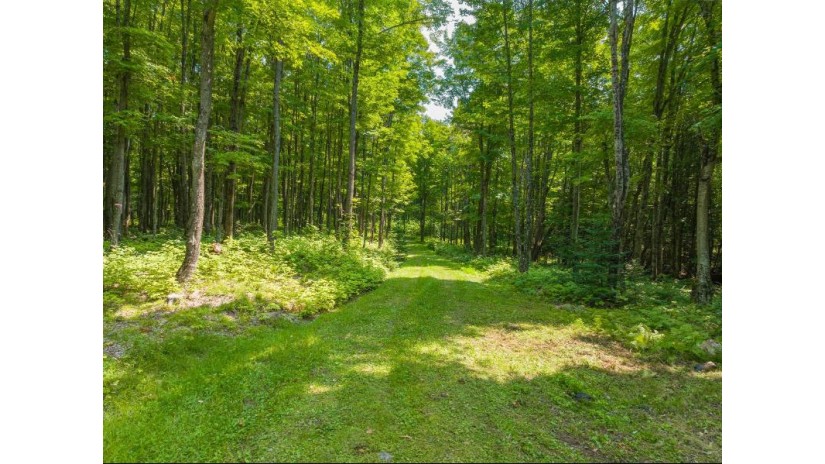 10 Eagle Tree Dr Lot Presque Isle, WI 54557 by Redman Realty Group, Llc $347,000